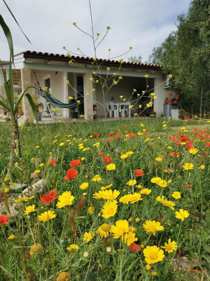 Casa Cocco Sant Isidoro (Sardinia) Exterior foto